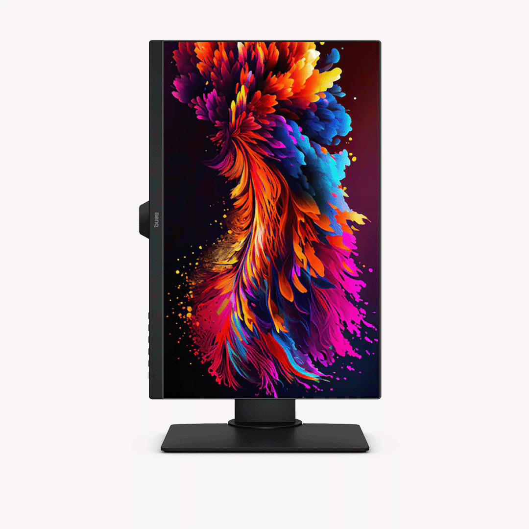 BenQ GW2480T 24" FHD IPS Pannel 90° Rotation 60Hz Business Monitor